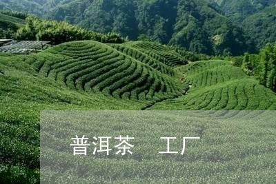 普洱茶 工厂/2023042860479